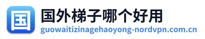 国外梯子哪个好用 Logo